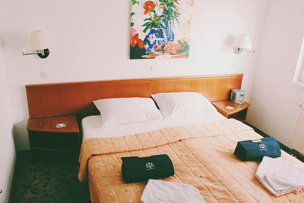Terme Olimia - Aparthotel Rosa Podcetrtek Ngoại thất bức ảnh